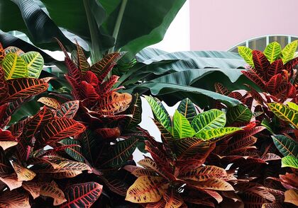 Díky digitální synodě církev zná názor na budoucnost a problémy dneška tisíců katolíků i nevěřících