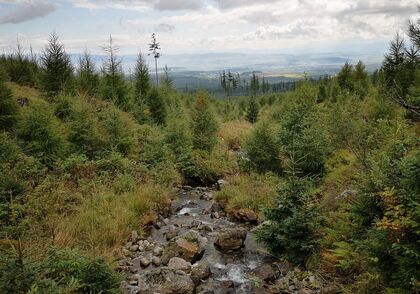 Je to pozvání, které se neodmítá, říká teolog Macek o synodním procesu