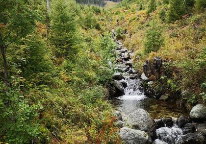 Národní syntéza synody vzniká na Velehradě