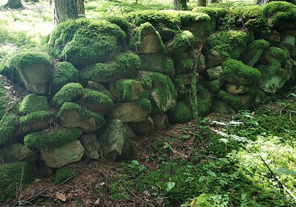 Eucharistické misionářství: Synodální cesta v Singapuru