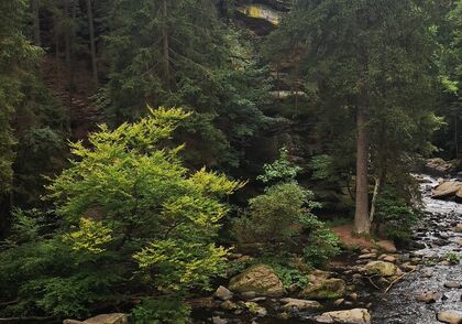 Pozvání od otce biskupa Ladislava Hučka k synodálnímu procesu