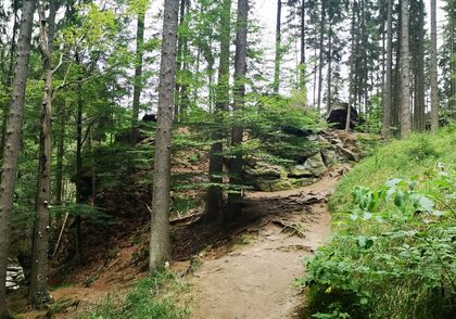 Světová synoda začíná