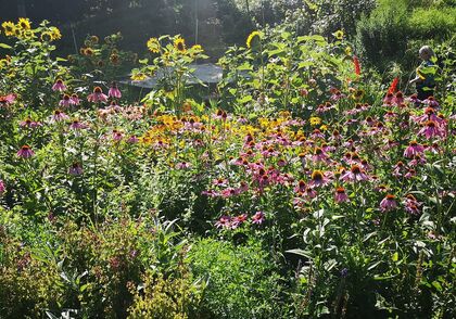 Sýrie doufá v obnovu i prostřednictvím synodálního procesu