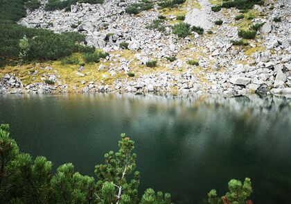 Biskupové USA vydali syntézu, která uzavřela diecézní fázi synody
