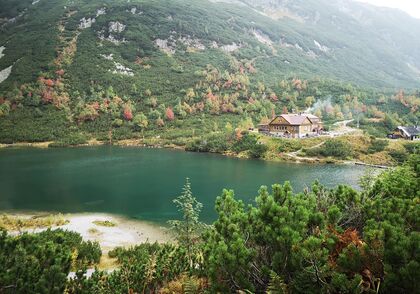 Závěrečný dokument synody