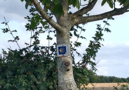 K práci ve skupinách je zván každý