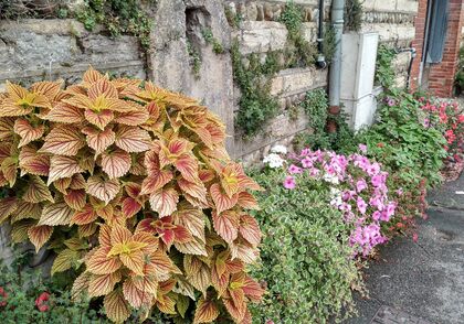 Co říká Duch ve vašich farnostech? Z iniciativy biskupa Hrdličky vychází sborník inspirovaný synodál