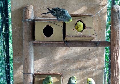 Synoda vrcholí. Delegáti zvolili nové členy řádné rady generálního sekretariátu biskupské synody