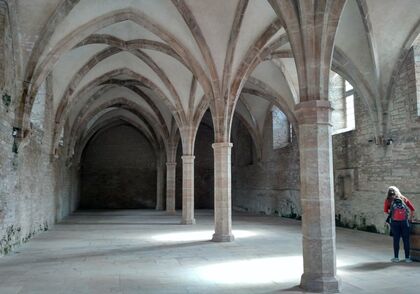 Teolog Mikulášek: Instrumentum laboris biskupské synody nabízí především otázky